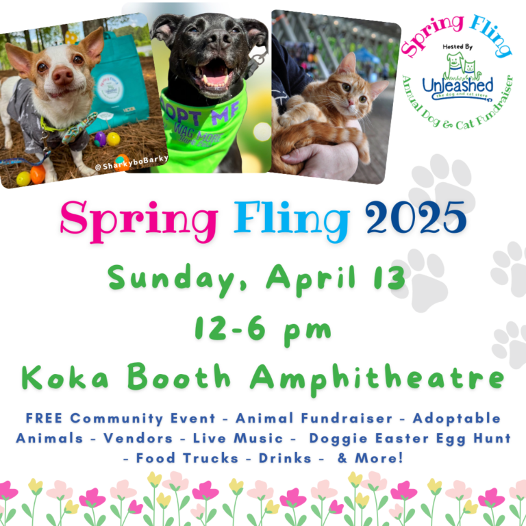 ab6f1bab d856 4e6e 99d8 d38d8b0c808a 768x768