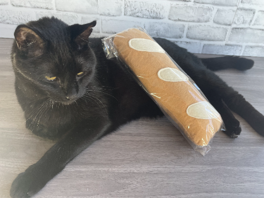 purrsnickitty