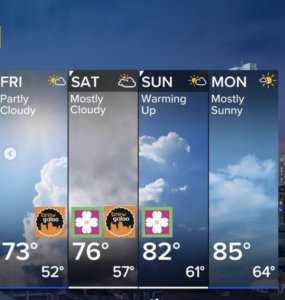 2024 Brewgaloo Forcast
