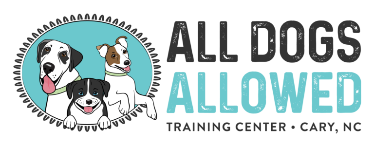 ADA Logo horizontal tagline 5 768x302