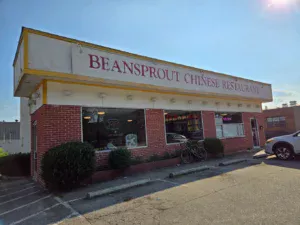 Beansprout 300x225