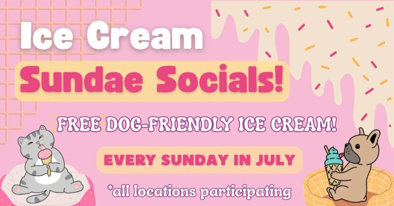 512677476 738435638573800 6970473656258670943 n 768x402