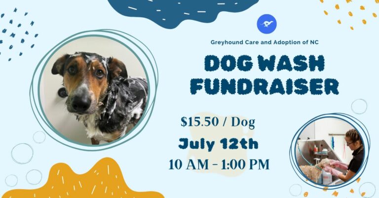 513698811 1142134381266254 8749092431719359686 n 768x402