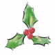 Jolly Raleigh Logo Updated 2