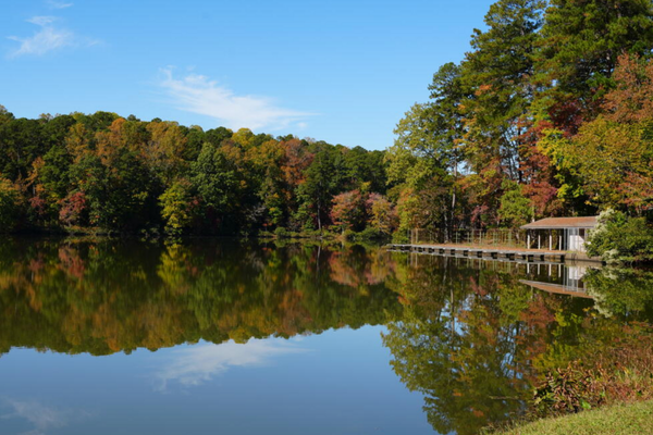 Soft Blue And Green Modern Special Offer Summer Sale Facebook Ad 6