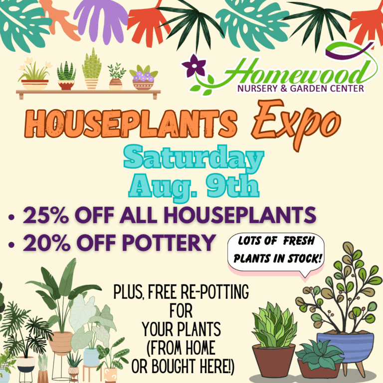 Houseplants Expo for INSTA1200 x 1200 px 2 768x768