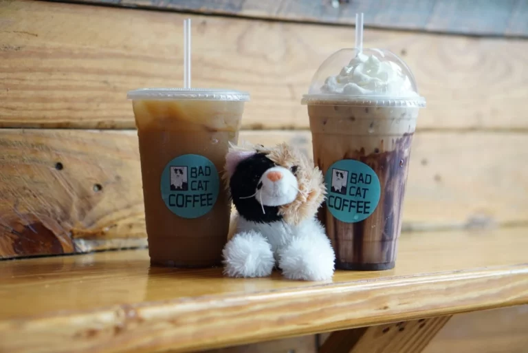 Bad Cat Coffee