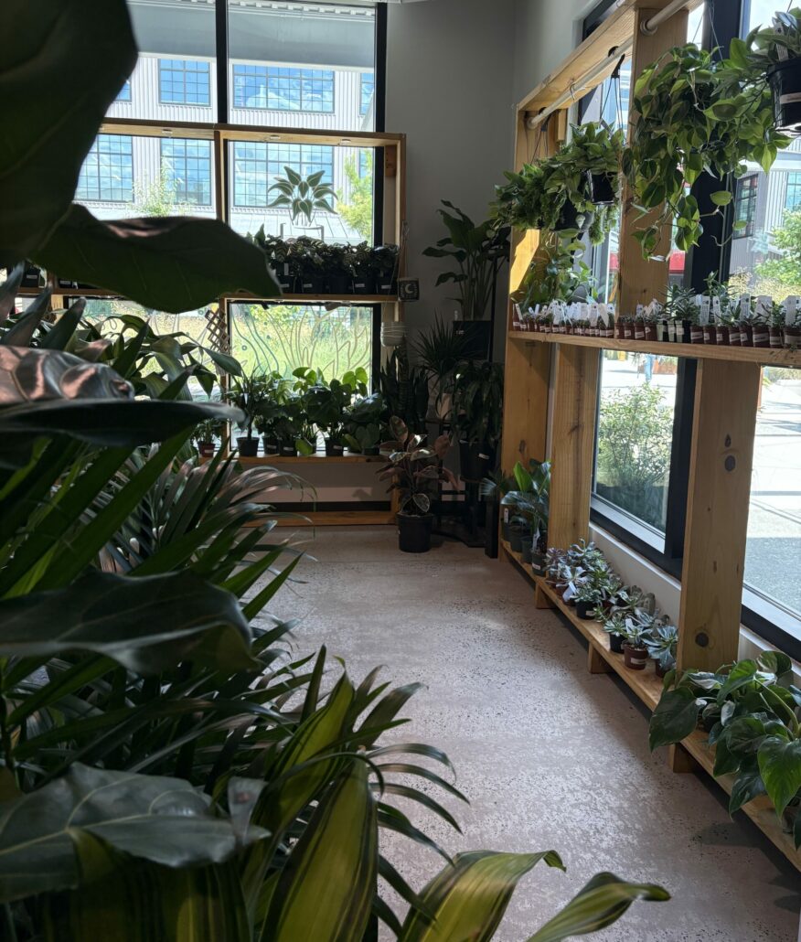 IMG 0090 scaled e1754591573426