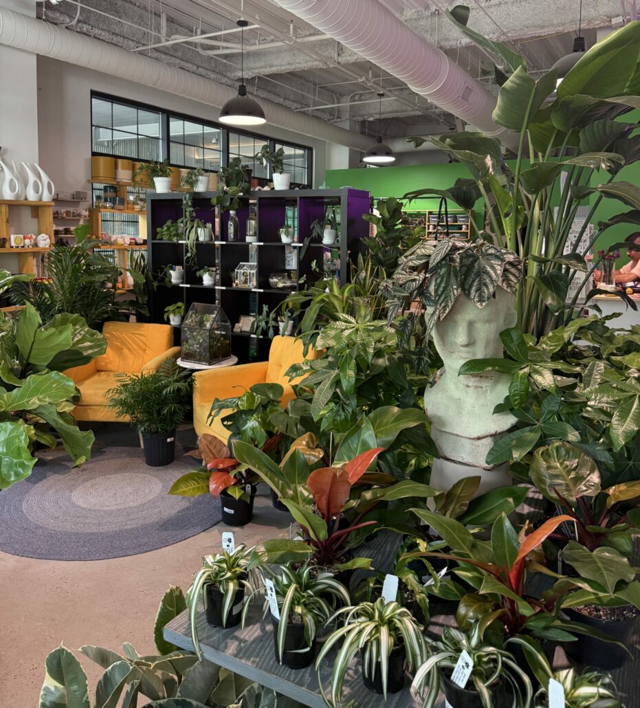 IMG 7174 scaled e1754591602414