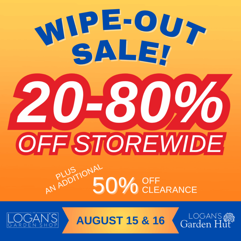 Logans Wipe Out Sale 1080 x 1080 px 768x768
