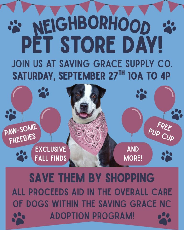 549586231 1392295625895200 3085799484019331986 n 768x960