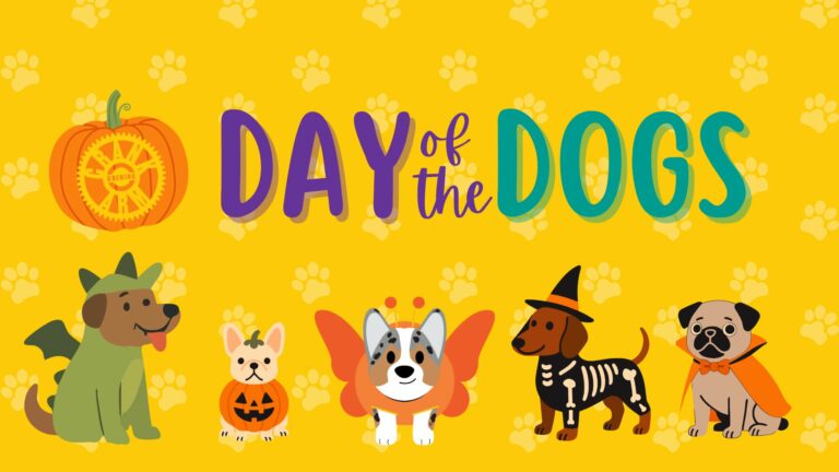 565078681 1238884078280974 8764043078919809268 n 768x432