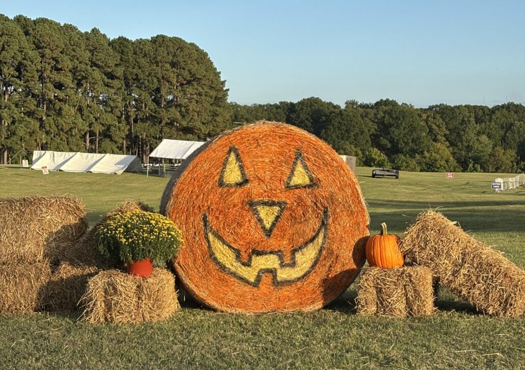 Pumpkin Hay Bale from Falling for Local in Raleigh