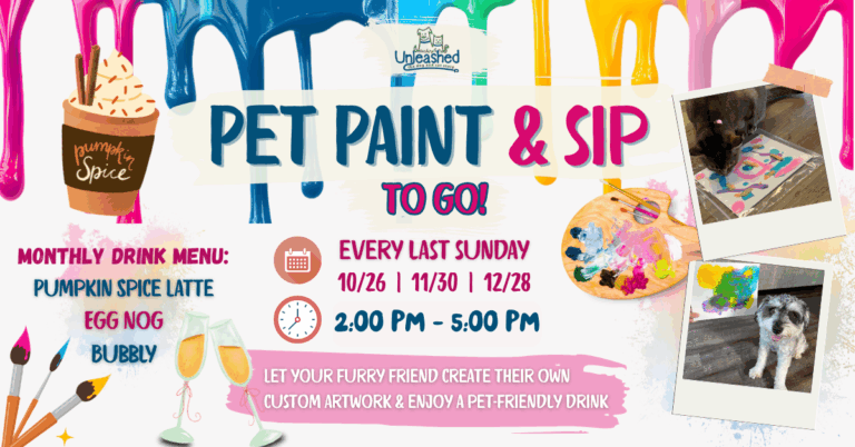 Paint Sip 1 3 768x402