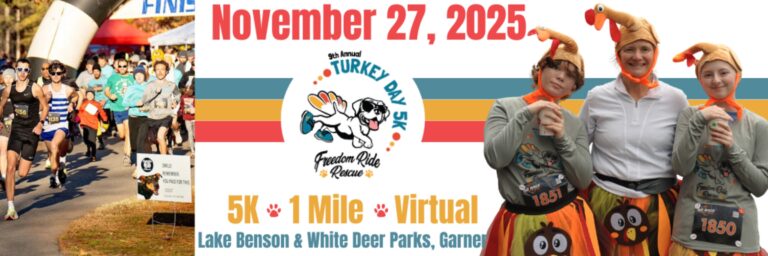 raceBanner 54VElvIG bODWsW huge 768x256