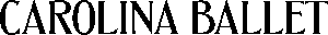CB Wordmark Black Horizontal 300x32