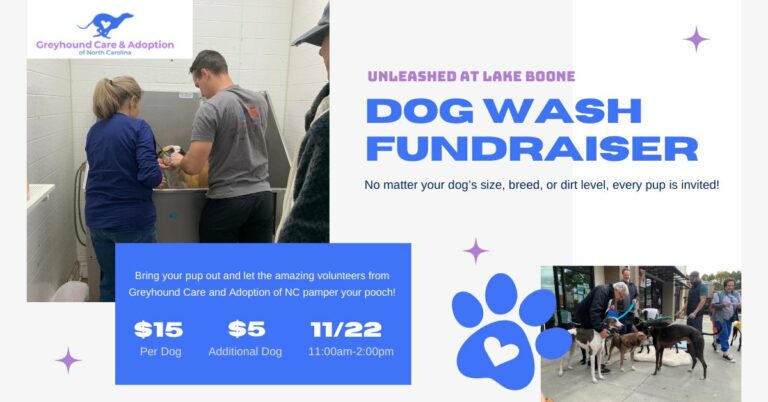 571188800 1246103507536007 9146876757388741255 n 768x402