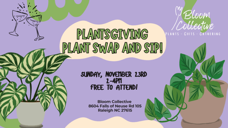 Bring Your Own Craft Day 1920 x 1080 px 3 768x432