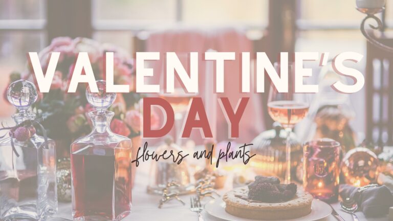 Valentine's Day Flowers