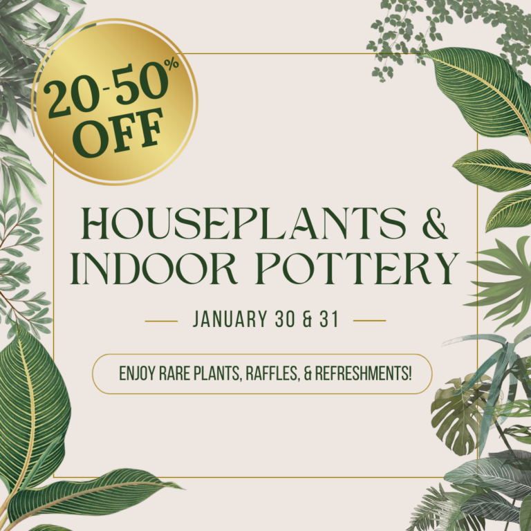 Houseplant 1080x1080 Organic Social 1 768x768