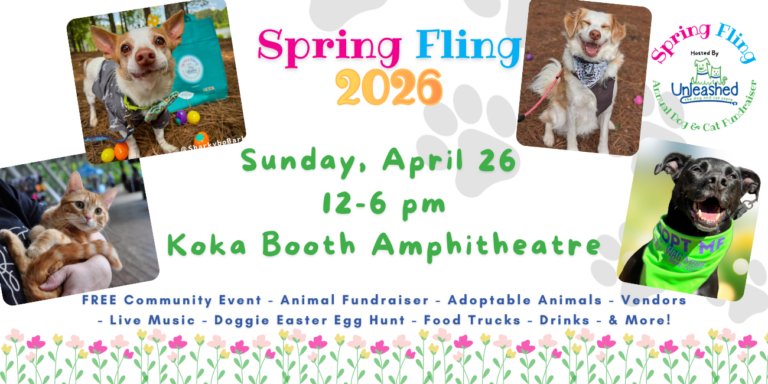 Spring Fling 2026 1 768x384