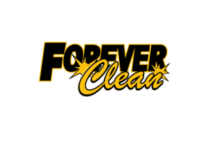 logo 300x232
