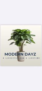 Modern dayz logo SLR website 1 138x300